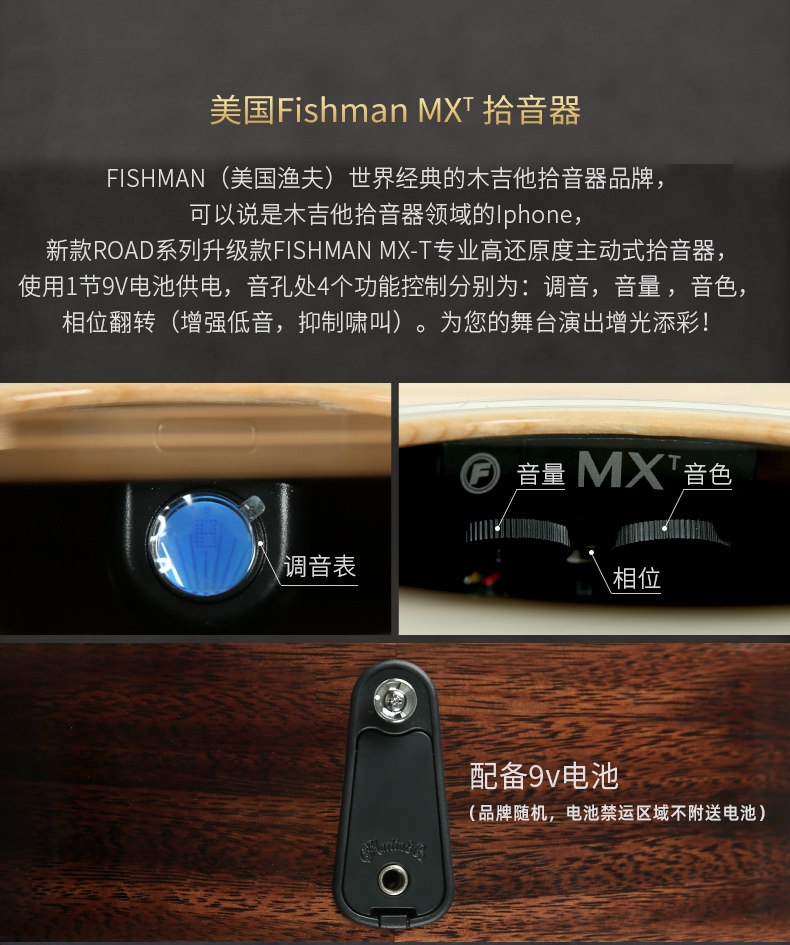 Мартин D10E_12.jpg