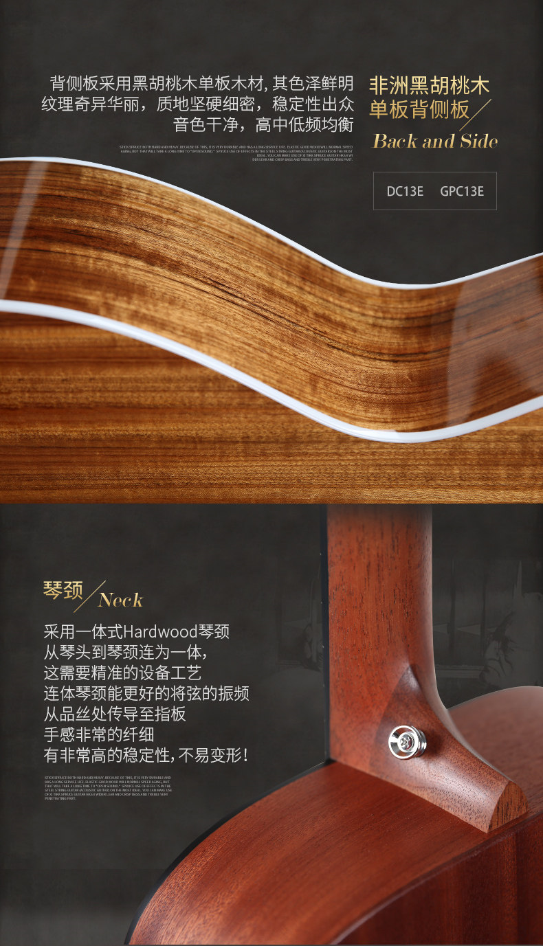 Мартин D10E_10.jpg