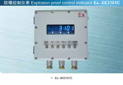 Ke Li explosion-proof control instrument Ex-XK3101C electronic scale heavy meter R35R33R32FB