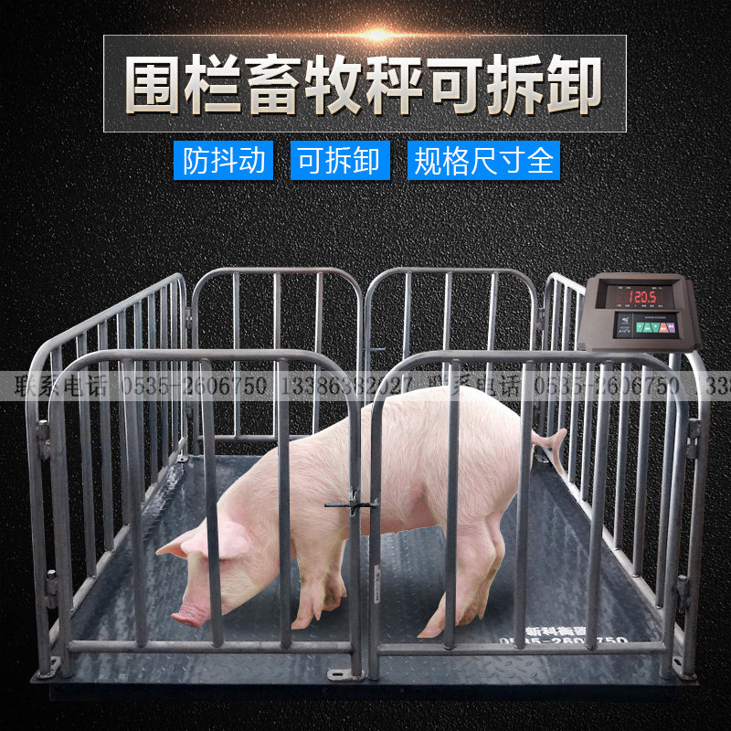 Shanghai Yaohua 3 ton livestock fencing scale electronic bull column called pig scales with sheep scales to send