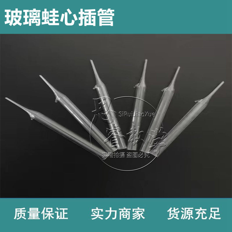 青蛙牛蛙 玻璃蛙心套管 蛙心插管 实验 心管 套管 插管 蛙心插管