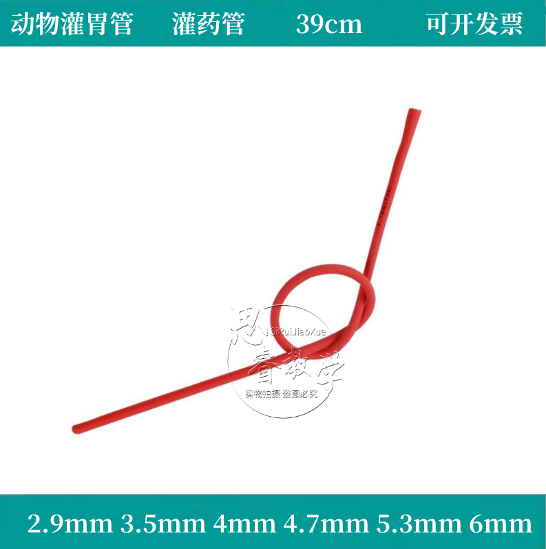 兔子灌胃管 家兔实验灌胃插管 胃管插管 兔子实验 兔子灌胃管插管