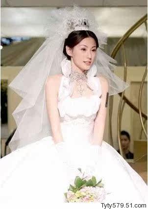 Extension cheveux - Chignon - Ref 238384 Image 14