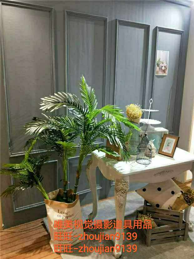 2019 New Photos Photo Gallery Photography Props Wedding REAL VIEW STUDIO Furnishing Design Korean-style Children Real View w-4508