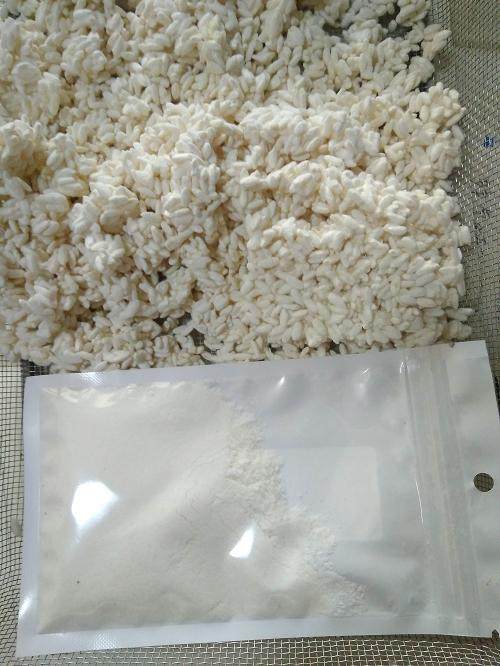 长白菌 <wbr>日本米曲霉 <wbr>种曲20克用于自制盐曲 <wbr>味噌 <wbr>甘酒