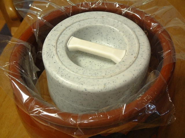 长白菌 <wbr>日本米曲霉 <wbr>种曲20克用于自制盐曲 <wbr>味噌 <wbr>甘酒