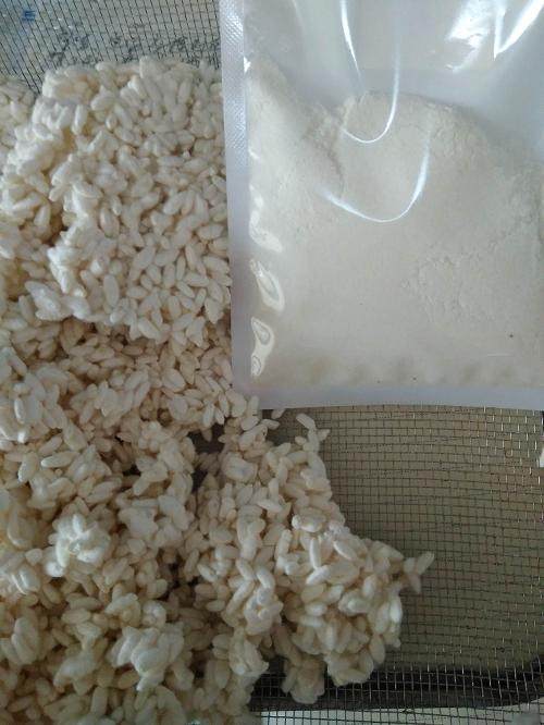 长白菌 <wbr>日本米曲霉 <wbr>种曲20克用于自制盐曲 <wbr>味噌 <wbr>甘酒