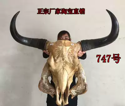 Natural Yak skull craft gift decoration real bull head decoration special wall decoration handicraft gift decoration