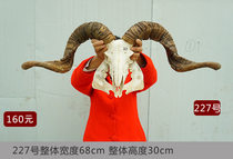 Tibetan area True sheep skull yak skull Skull Handicraft goats head adornment Tibet sheep head cows head