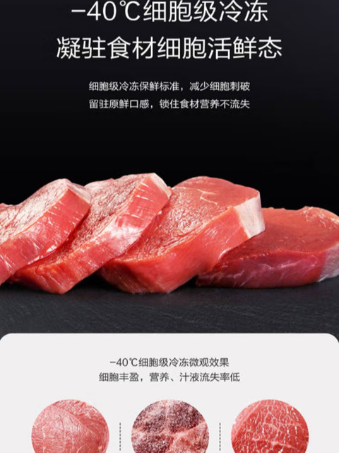 Casarte 331 Refrigerator Vertical Freezer Bd-331Wegau1-288Wgcwnu1-285Wgceru1