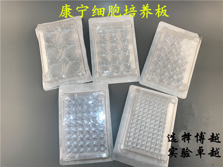康宁corning Costar进口细胞培养板6 12 24 48 96孔TC处理 可开票