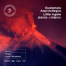 Old Deer Friends Guatemala Violet Nango Little Agate Wash Boutique Pure Black Coffee Bean 227g