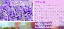 new 12pcs lavender Scented Pillar Candle Wax Candles 5*10CM