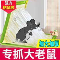 Super strong sticky mouse board to catch the gods and glue to catch the mouse and kill the mouse.