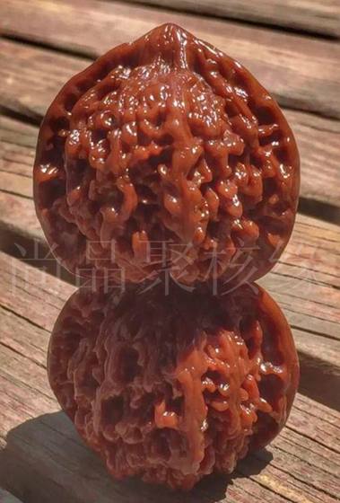 Wenwan Walnut Baihuashan Star-filled Lion Head Non-triangular Walnut Special-shaped Southern Xinjiang Stone Wild Qiuzi Pecan