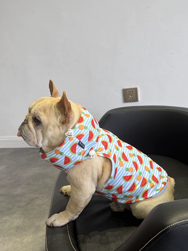 Летний охлаждающий шарф для выхода на улицу, сумка для льда