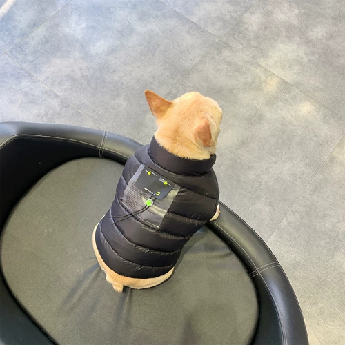 Одежда для любителей собак осенью и зимой согреть куртки с борьбой с шербарен