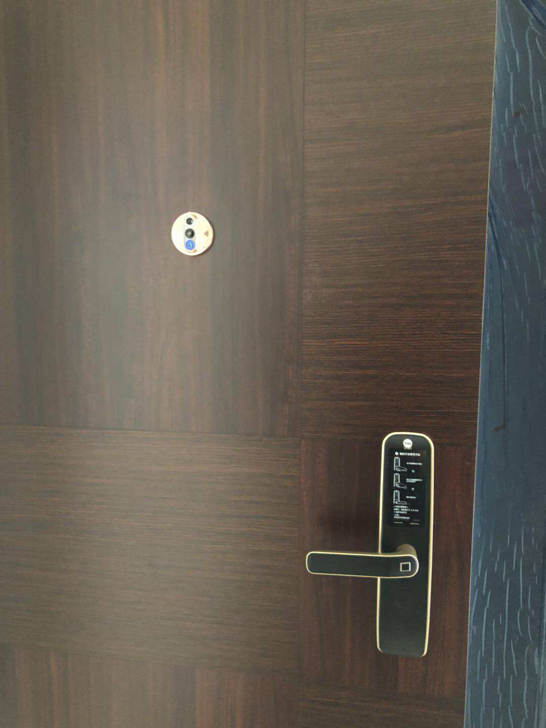 H70 fingerprint lock special shot link