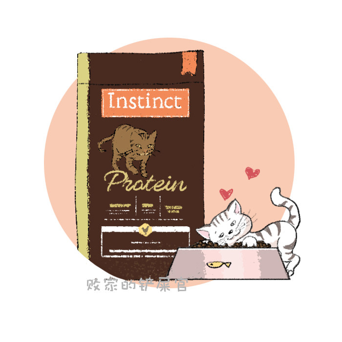 Thyme Instinct classic premium protein family chicken duck meat recipe cat food 4 pounds 10 pounds