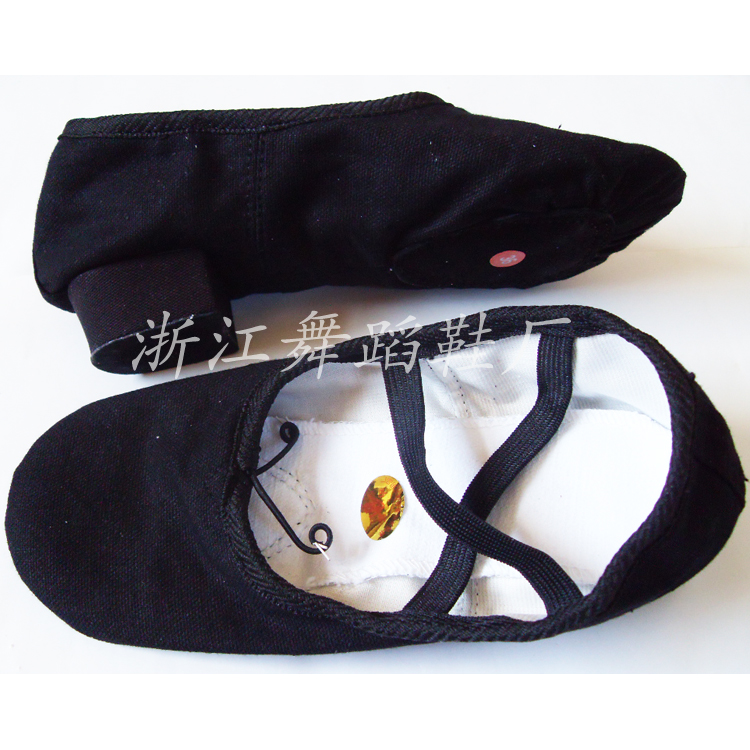 Professional Production Teacher Shoes Jazz Shoes With Dancing Shoes Gymnastics Shoes Cat Paw Shoes Practice Shoes