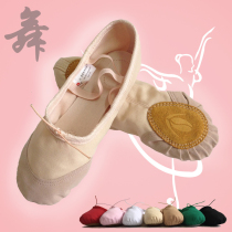 Hachia children men and women dance shoes Soft bottom Adult Cat Paw Shoes Body Shoes Yoga Practice Shoes Girl Ballet Shoes