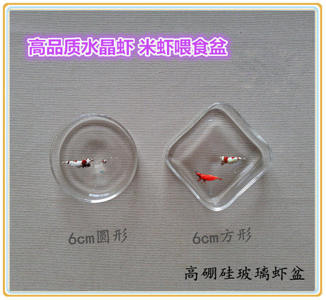 High boron silicon glass crystal shrimp rice shrimp feeding basin feeding bowl diameter 6cm 8cm square round