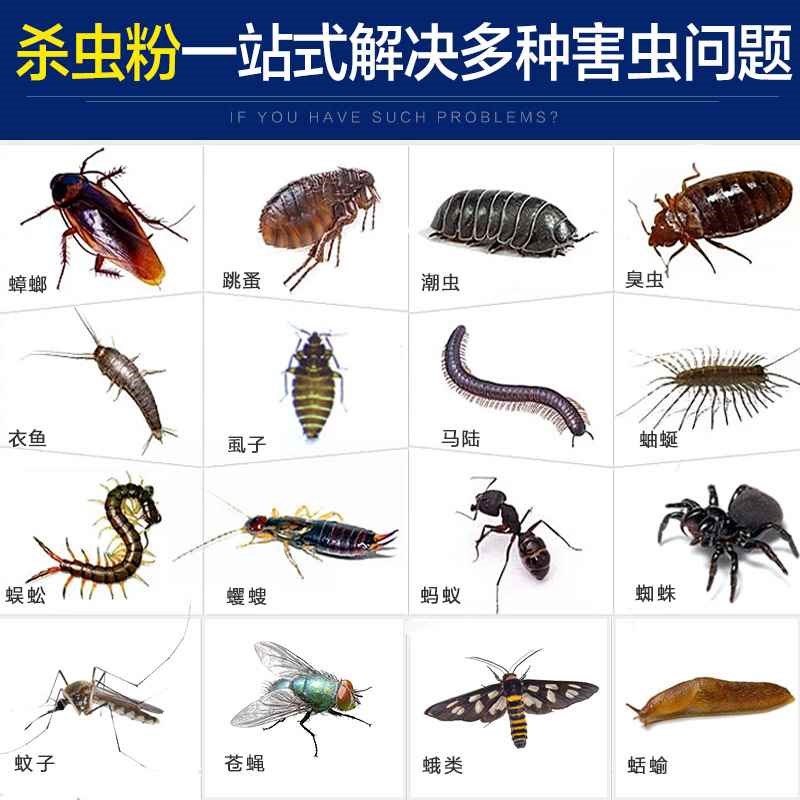 Aphid Insect Repellent Room Flea Powder Home Bed Lice Insecticide Indoor Cockroach Drug Boomer Mosquitoes
