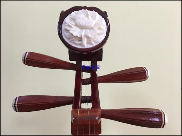Aster Musical Instrument Adult Pipa Bone Flower Introduction Popularization Pipa Pear Axis Phase A Complete Set of Accessories
