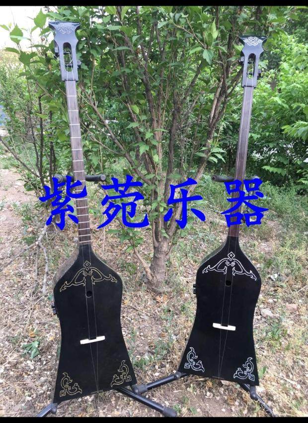 Aster musical instrument handmade electroacoustic taubxiuertuobuxiuerer Dongdongbula Humai playing and singing Mongolian
