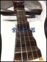 Aster musical instrument custom Rosewood pipa full back log polishing professional pipa performance collection PIPA