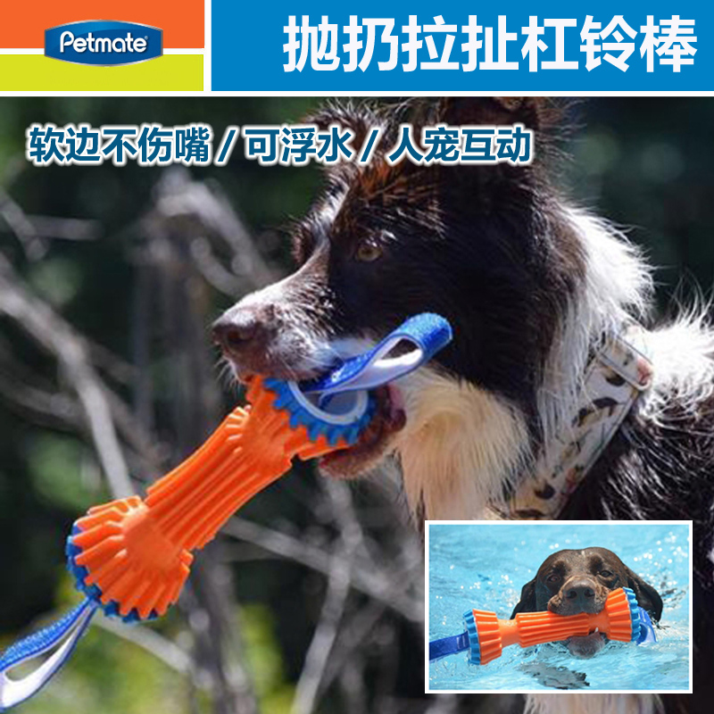 American Petmate amphibious barbell dog toy bite-resistant pull throw medium large dog Samoyed