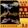 Товары от 草韵水族