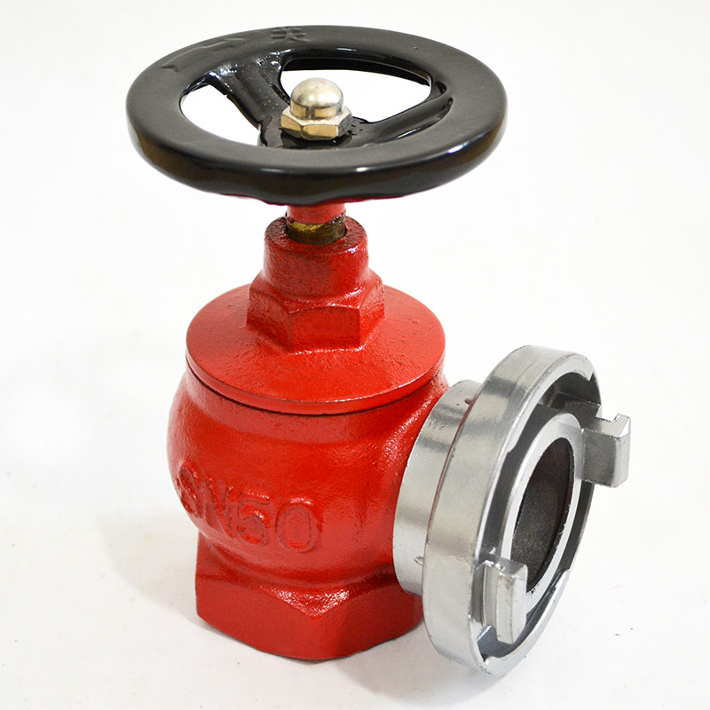 Indoor fire hydrant fire hose valve promotion hot sale SN50 three copper fire hydrant 2 inch irrigation hydrant