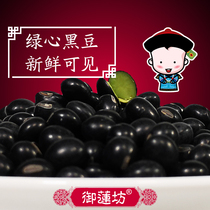 Royal Lotus Square Premium Farmers own five-grain soy milk Green Heart Small black beans Black skin Green Heart Black Beans 500g