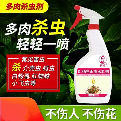 Kono succulents special insecticide meat and meat fly-removing insects