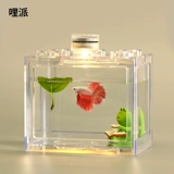 Thai Douyu Tank House Crab Crab Box Gacks Изоляция выделенного акрилового экологического ландшафта