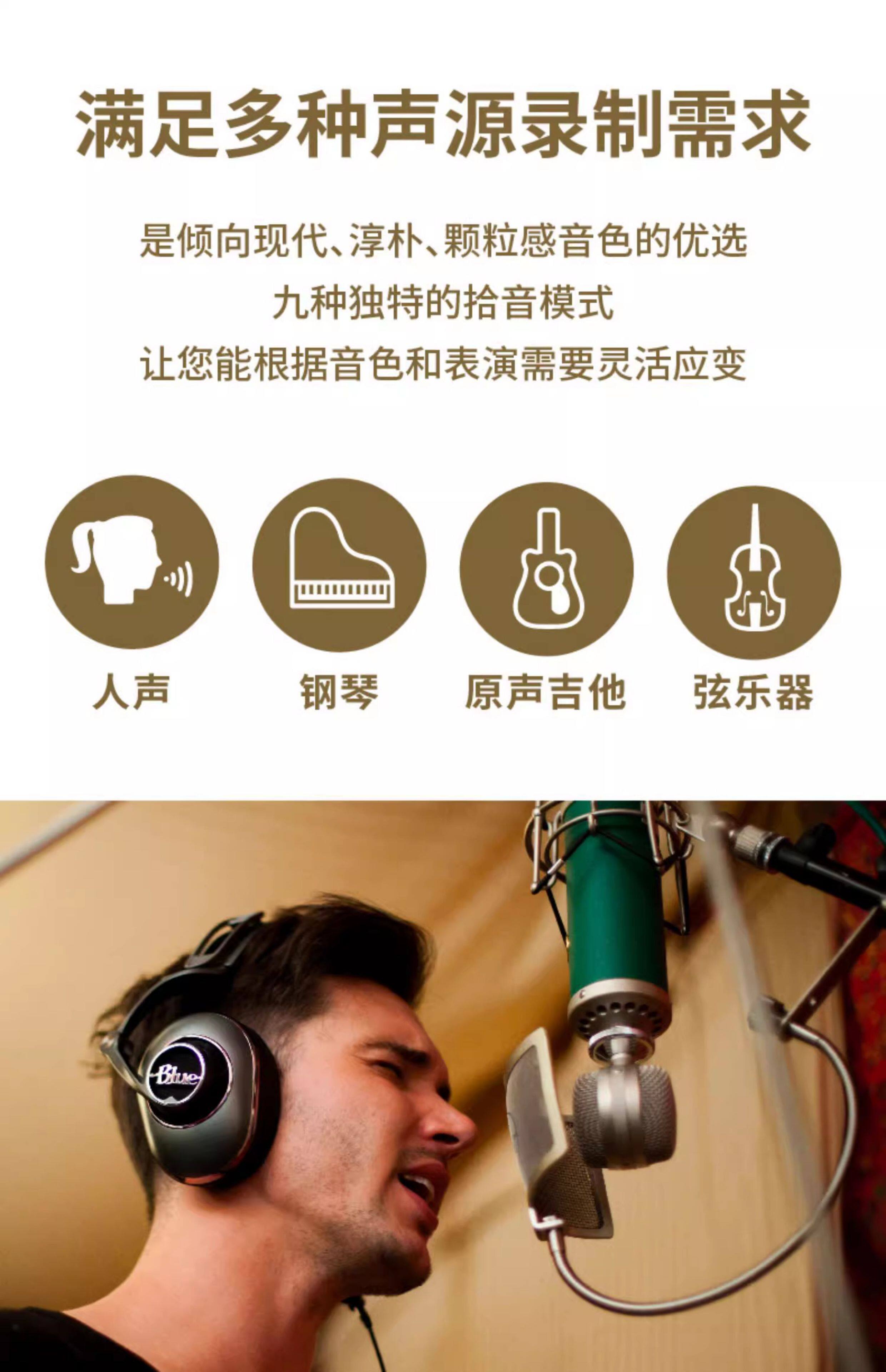Blue Kiwi专业电容麦克风主播手机直播K歌有声书大振膜话筒