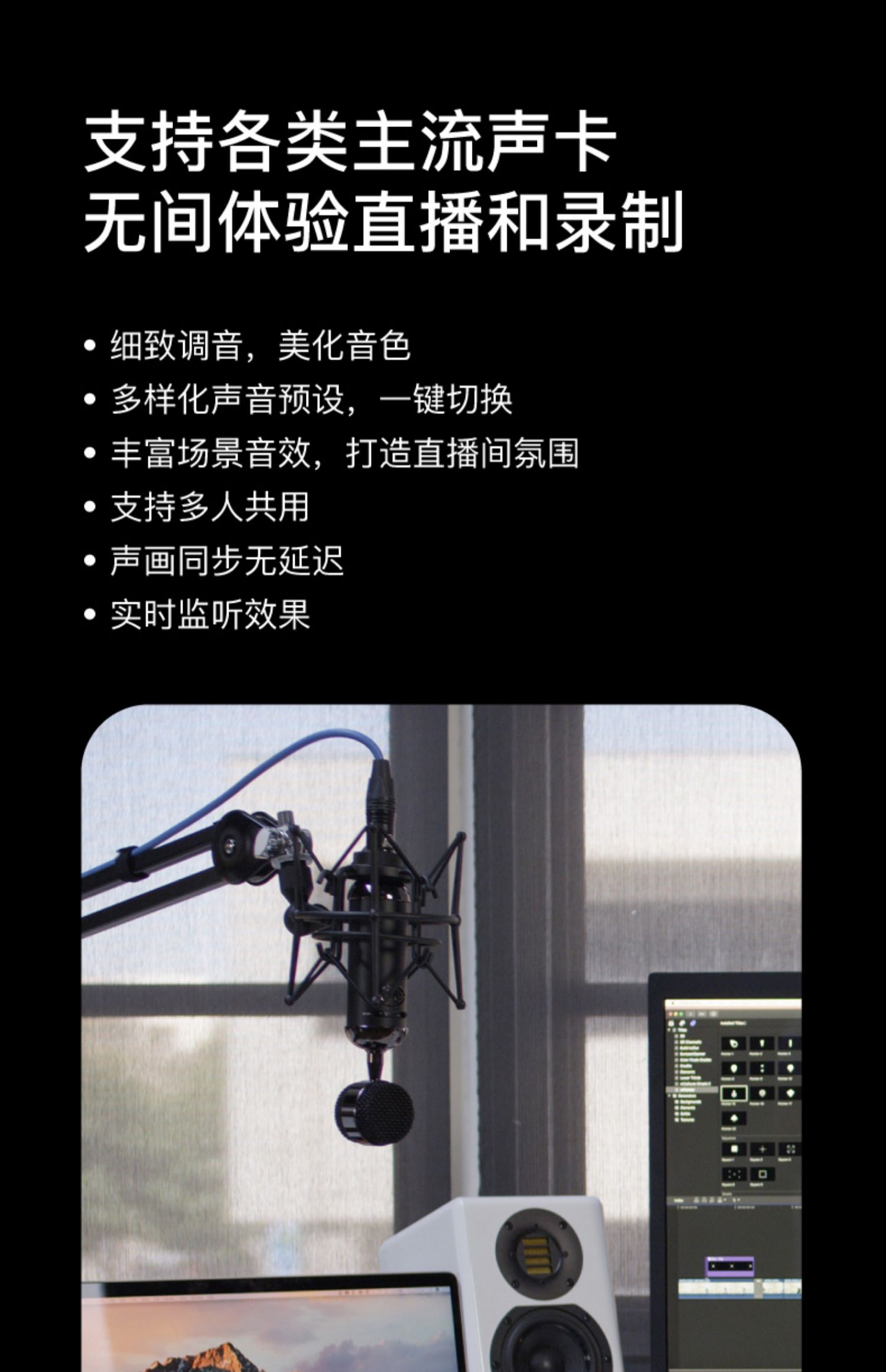 Blue Spark 火花电容式麦克风专业话筒直播游戏K歌录音插图3