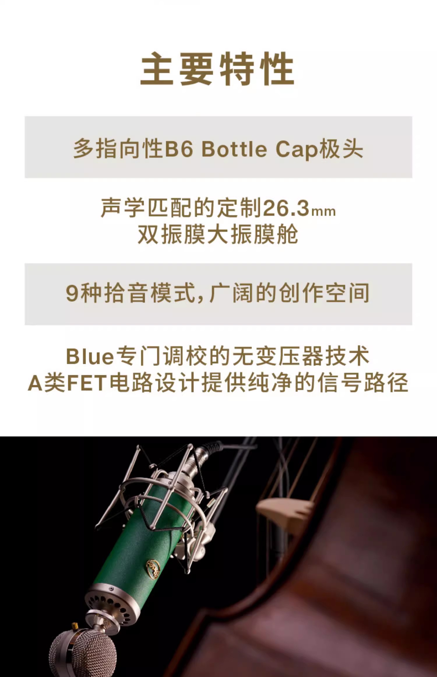 Blue Kiwi专业电容麦克风主播手机直播K歌有声书大振膜话筒插图3
