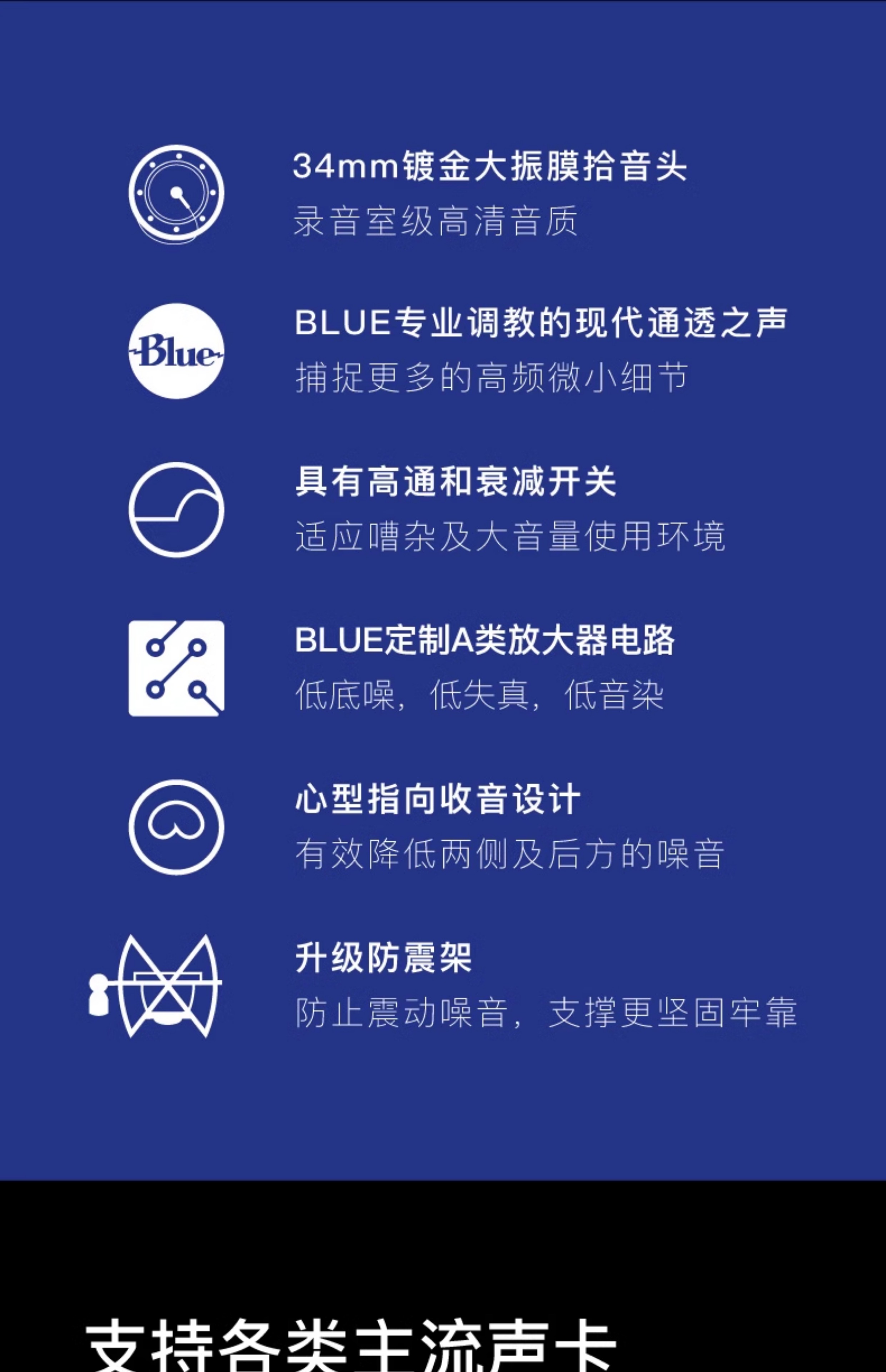 Blue BlueBird SL蓝鸟电容式麦克风专业话筒直播游戏K歌录音插图2