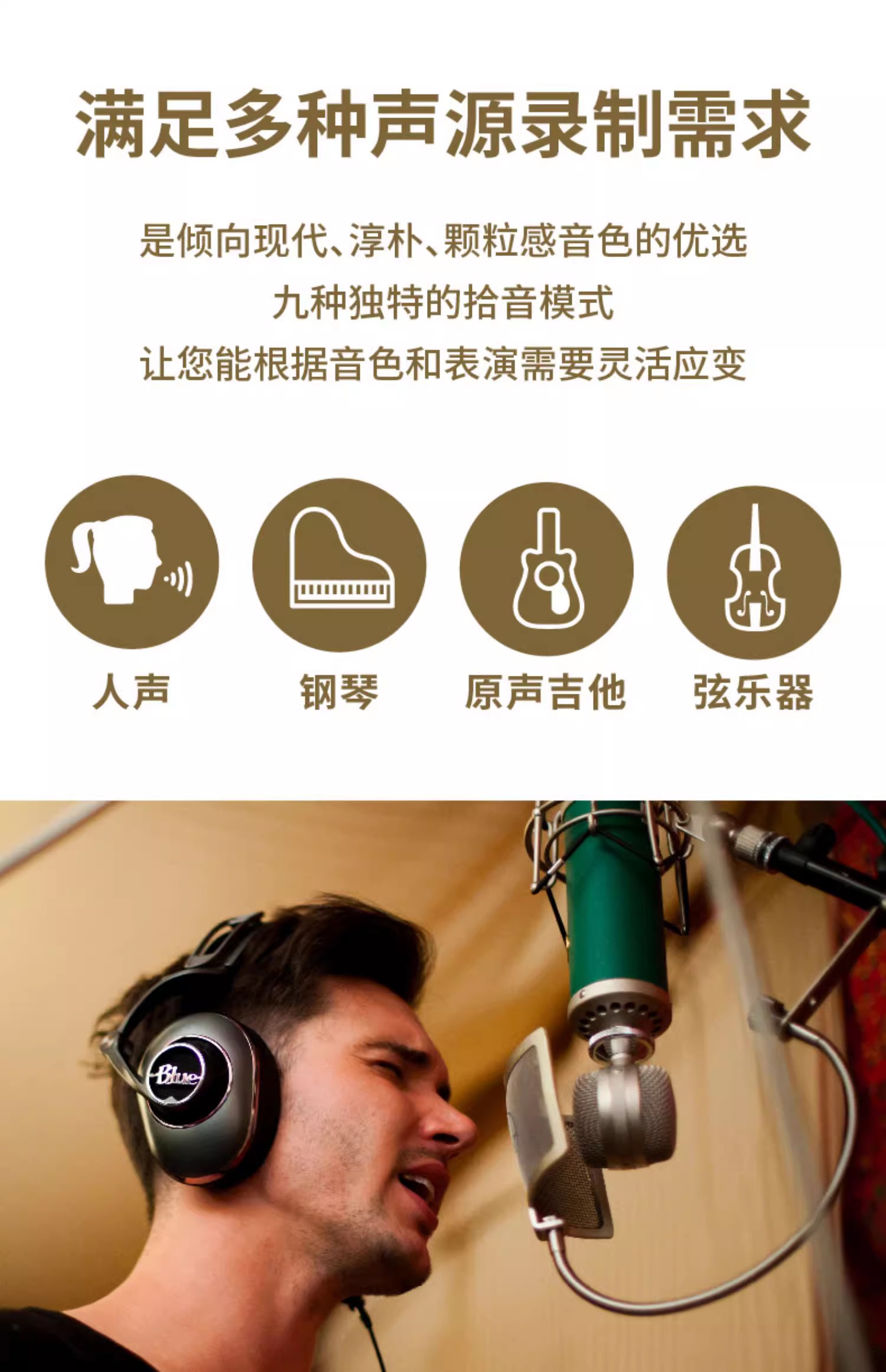 Blue Kiwi专业电容麦克风主播手机直播K歌有声书大振膜话筒插图12
