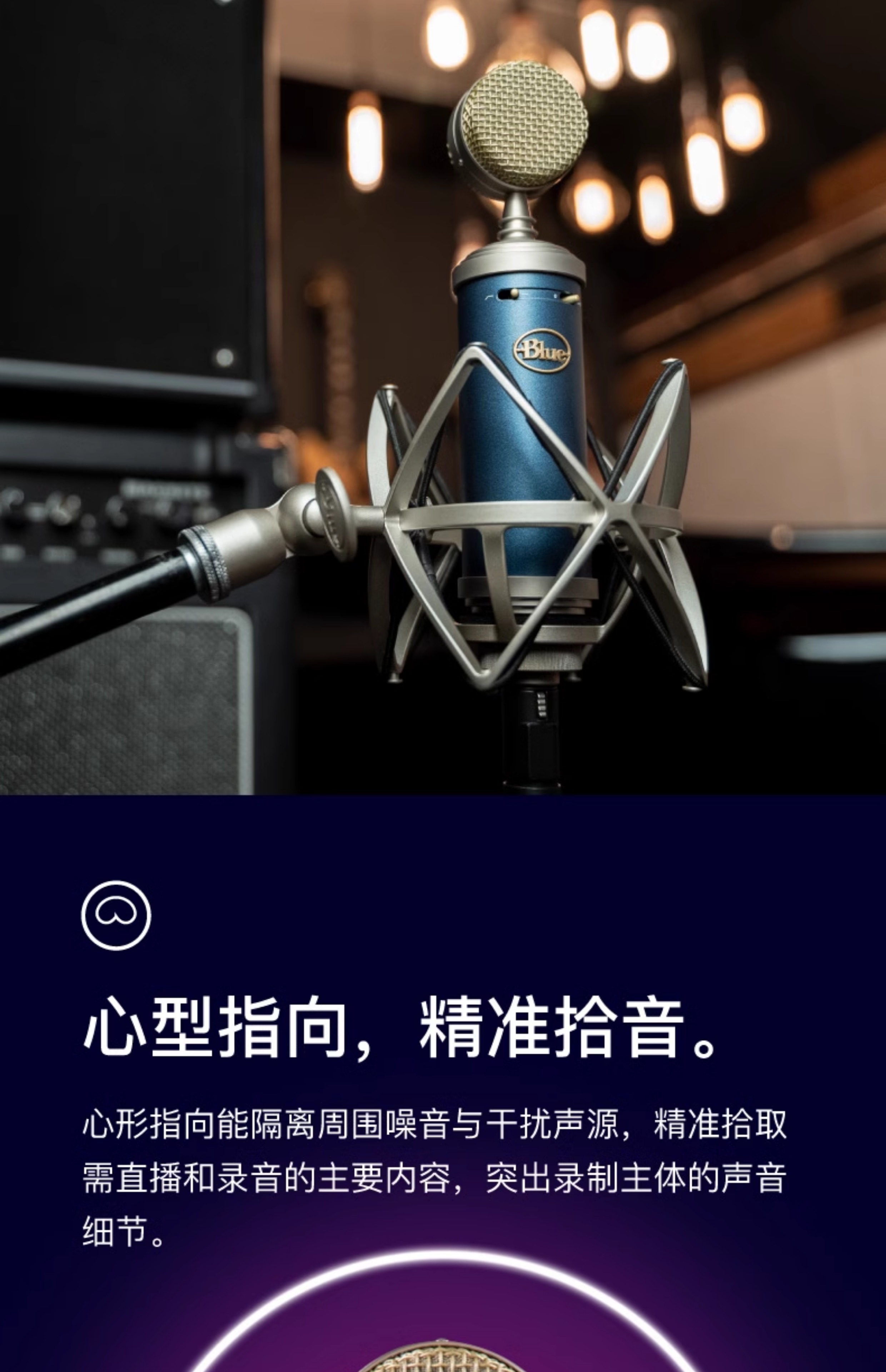 Blue BlueBird SL蓝鸟电容式麦克风专业话筒直播游戏K歌录音插图11