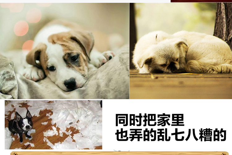 Pet đồ chơi con chó nhỏ giọng gấu bông đồ chơi con chó con chó sang trọng đồ chơi con chó con đồ chơi con mèo vui đồ dùng cho mèo