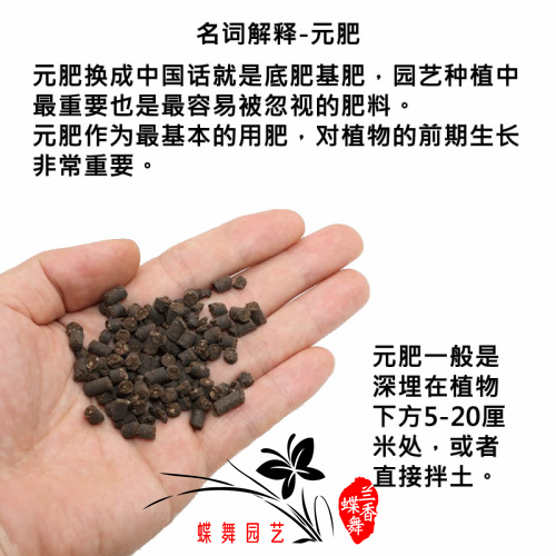 日本产bo元肥盆底肥兰花基肥不烧根换盆肥天然缓释肥料 日本产bo元肥盆底肥兰花基肥不烧根换盆肥天然缓释肥料
