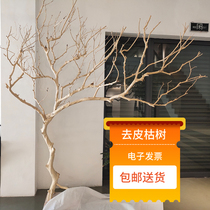 Living room Zen decorative ornaments Natural dead branches peeled modeling tree Landscape tree Floral art dry branches dead branches simulation tree