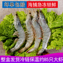 Shrimp shrimp sea catch fresh four pounds of Dole white shrimp Qingdao fresh shrimp SF home to the whole box