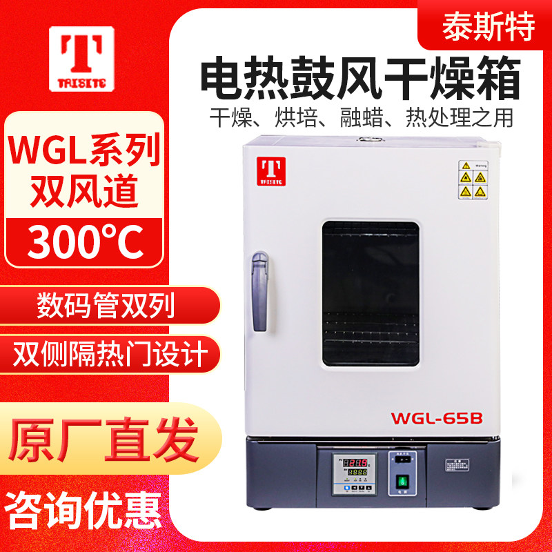 天津泰斯特WGL-30B/45B/65B/125B/230B/625B电热鼓风干燥箱立式