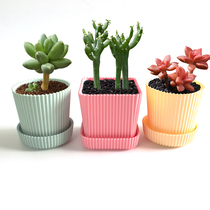 Succulent plant flowerpot green plant small flowerpot plastic flowerpot color creative personality fleshy plant flowerpot breathable