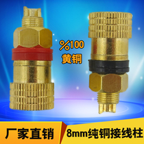 Pure copper terminal M8 all copper 8mm charger electric welding machine inverter 100A200A high current terminal
