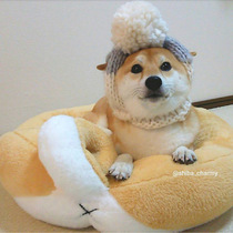 Chai Dog Butt Nest Tennis Red Same-day Dog Mattress Sub Sleeping Blanket Creative Cartoon Plush Autumn Winter Warm Dog Nest